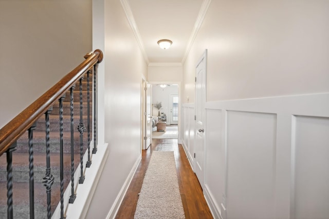 816 General Cabot Ct, Murfreesboro, TN 37129 - corridor with crown molding, dark wood-style floors, a decorative wall, and wainscoting