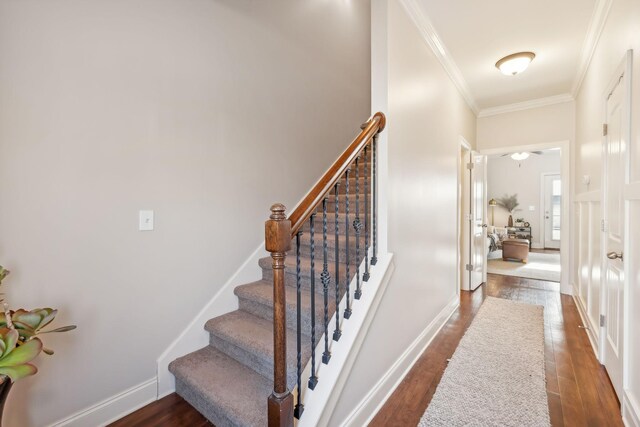 816 General Cabot Ct, Murfreesboro, TN 37129 - stairway featuring ornamental molding, wood finished floors, and baseboards
