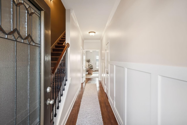 816 General Cabot Ct, Murfreesboro, TN 37129 - hallway with dark wood-type flooring, ornamental molding, wainscoting, stairs, and a decorative wall