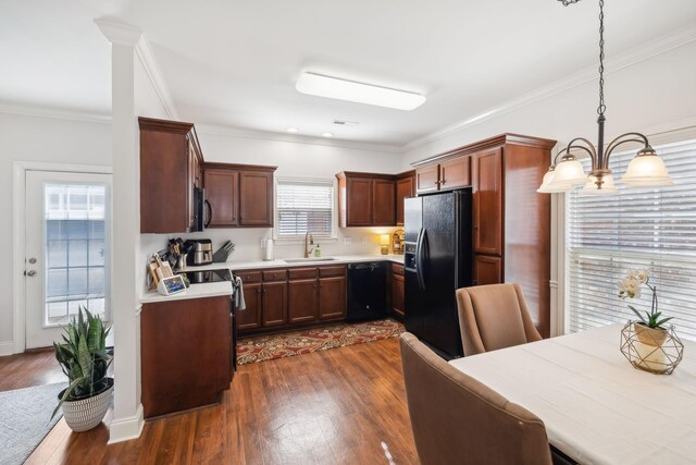 816 General Cabot Ct, Murfreesboro, TN 37129 - kitchen featuring black appliances, a sink, light countertops, dark wood-style flooring, and crown molding