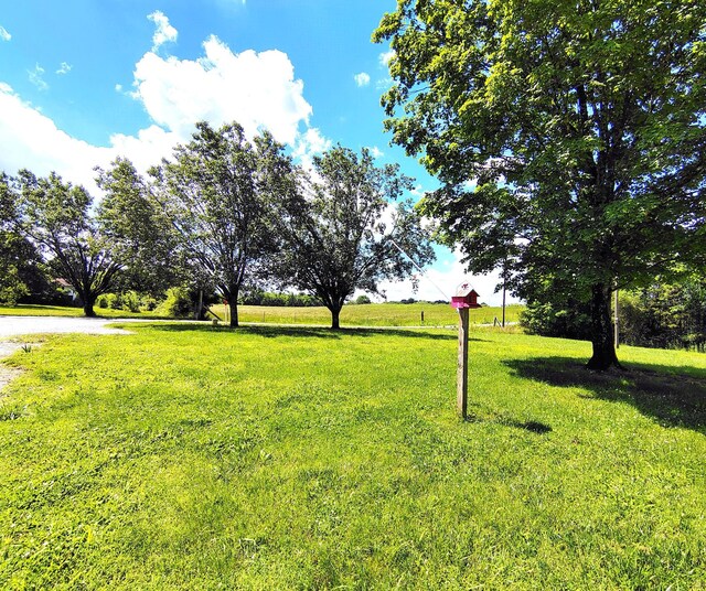 137 Gudger Rd, Madisonville, TN 37354 - photo 20