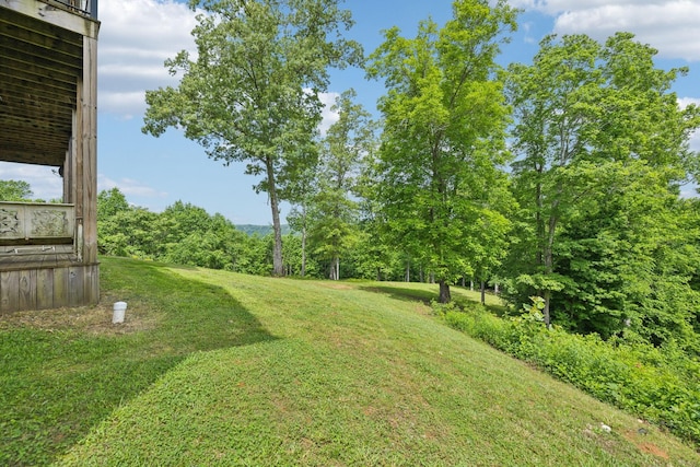 225 Ferguson Creek Rd, Sparta, TN 38583 - view of green lawn