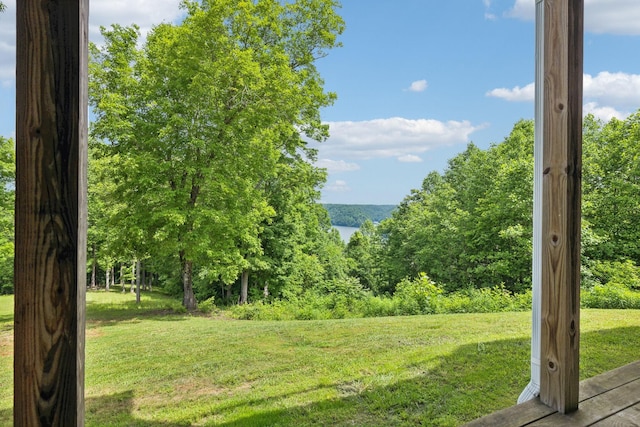225 Ferguson Creek Rd, Sparta, TN 38583 - view of green lawn