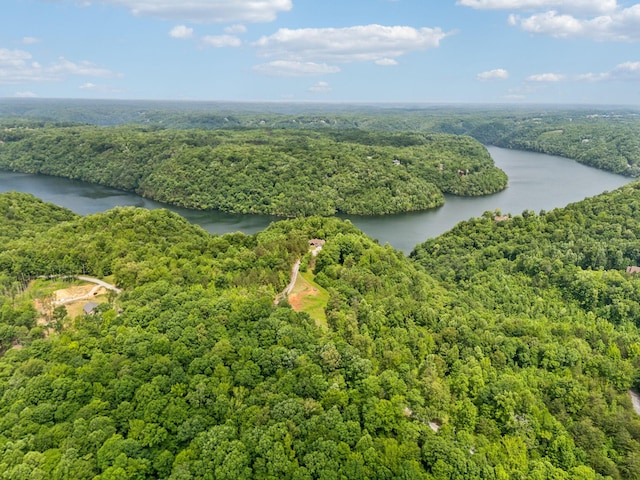 225 Ferguson Creek Rd, Sparta, TN 38583 - aerial view of a heavily wooded area and a large body of water