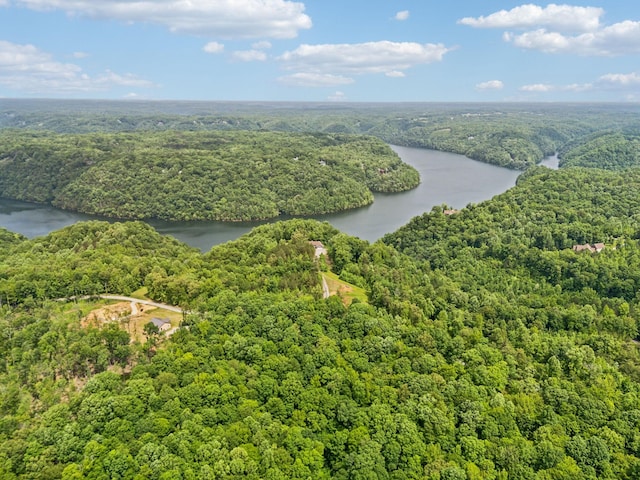 225 Ferguson Creek Rd, Sparta, TN 38583 - drone / aerial view of a heavily wooded area and a large body of water