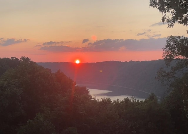 225 Ferguson Creek Rd, Sparta, TN 38583 - mountain view with a forest