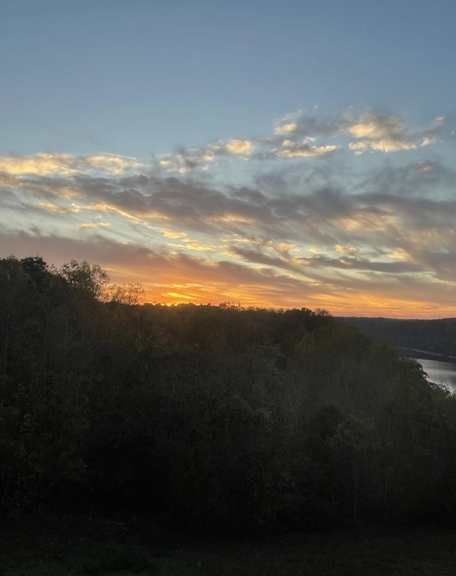 225 Ferguson Creek Rd, Sparta, TN 38583 - view of nature at dusk