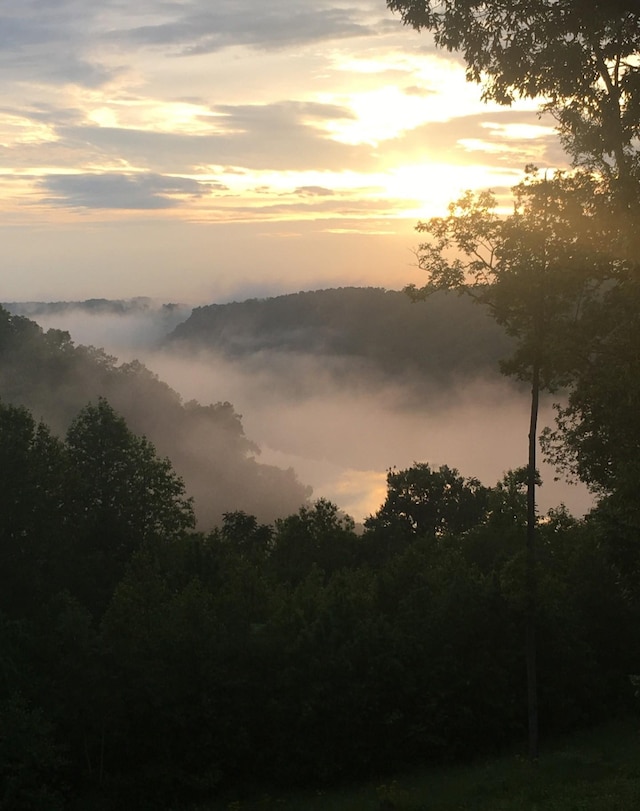 225 Ferguson Creek Rd, Sparta, TN 38583 - view of undeveloped land