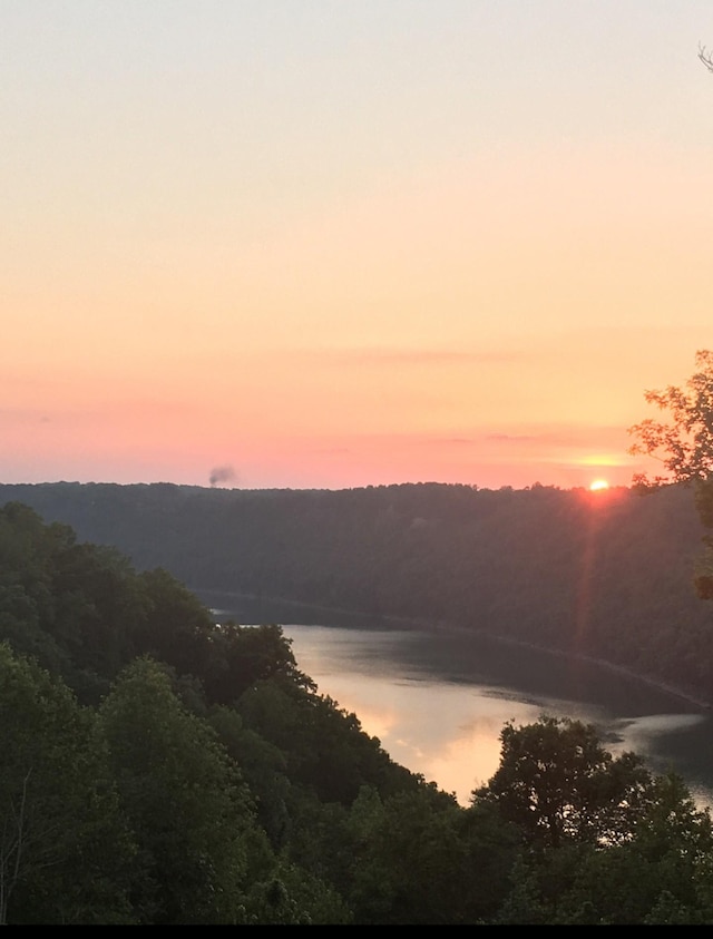 225 Ferguson Creek Rd, Sparta, TN 38583 - water view featuring a forest