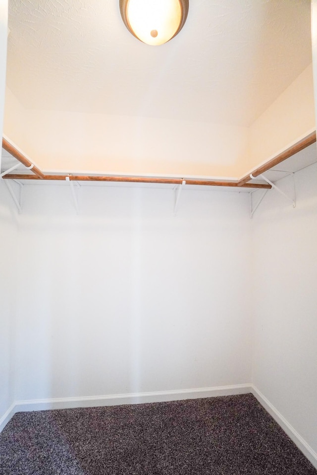41 Haven Way, Westmoreland, TN 37186 - walk in closet featuring carpet