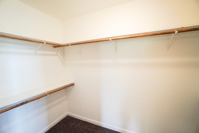 41 Haven Way, Westmoreland, TN 37186 - walk in closet with dark carpet