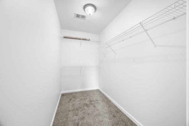 2746 Field Ct, Woodlawn, TN 37191 - walk in closet featuring carpet