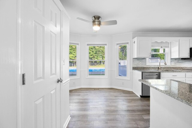 2746 Field Ct, Woodlawn, TN 37191 - kitchen featuring stainless steel dishwasher, a sink, healthy amount of natural light, and white cabinetry