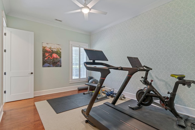 2111 Lovelace Ln, Murfreesboro, TN 37130 - exercise area featuring wood finished floors, a ceiling fan, baseboards, ornamental molding, and wallpapered walls