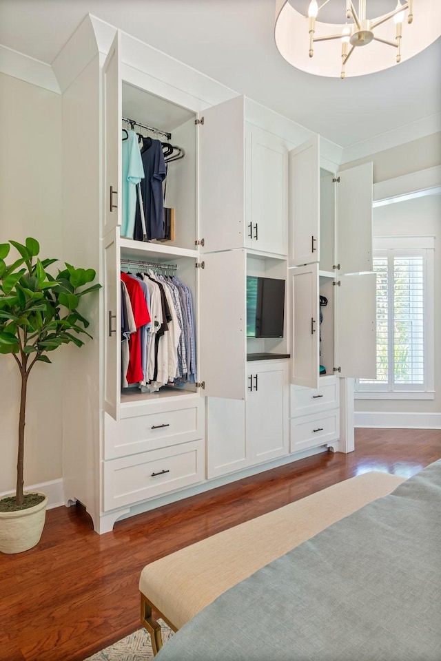 2111 Lovelace Ln, Murfreesboro, TN 37130 - view of closet