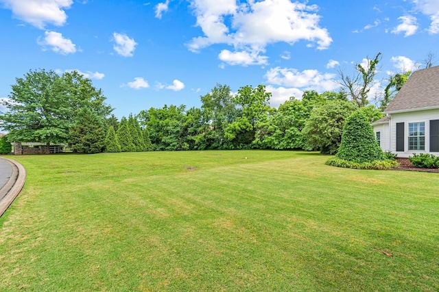 2111 Lovelace Ln, Murfreesboro, TN 37130 - view of green lawn