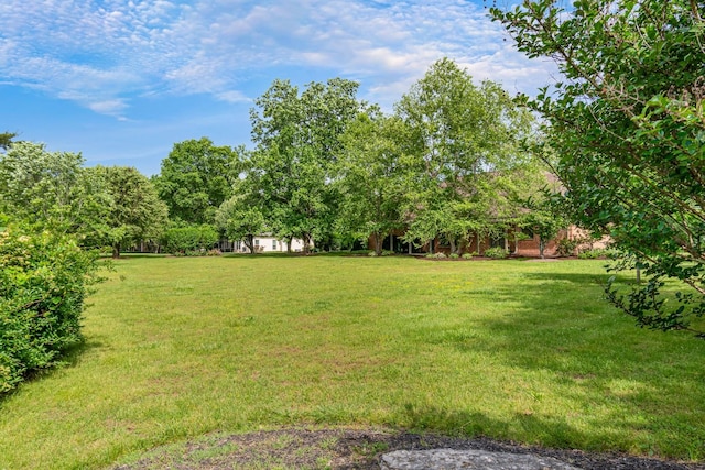 529 Wilson Run, Brentwood, TN 37027 - view of green lawn