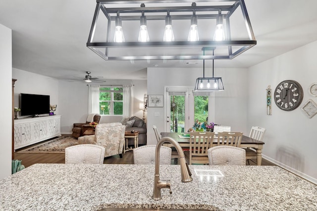 211 Addison Ave, Chapel Hill, TN 37034 - kitchen featuring a sink, wood finished floors, a ceiling fan, and baseboards