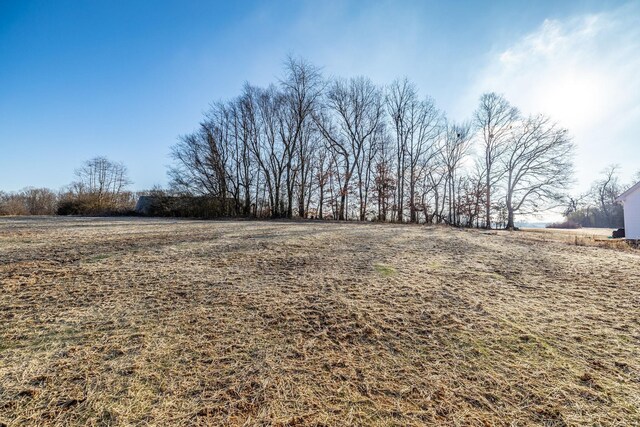 1544 Angus Way, Greenbrier, TN 37073 - photo 45