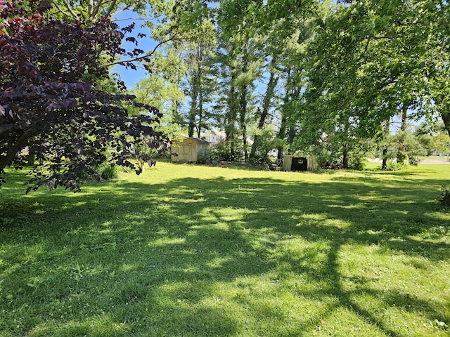 221 Franklin St, Cowan, TN 37318 - view of green lawn