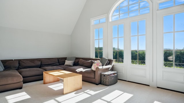 4740 Edwardian Trce, Franklin, TN 37067 - living area with light carpet, plenty of natural light, and high vaulted ceiling