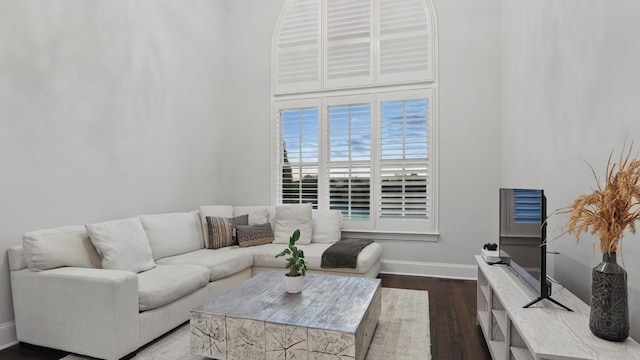 4740 Edwardian Trce, Franklin, TN 37067 - living room with baseboards and wood finished floors