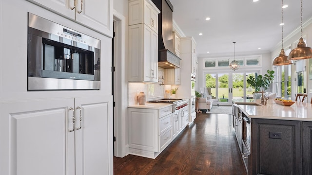 4740 Edwardian Trce, Franklin, TN 37067 - kitchen with stainless steel gas stovetop, light countertops, premium range hood, ornamental molding, and dark wood finished floors