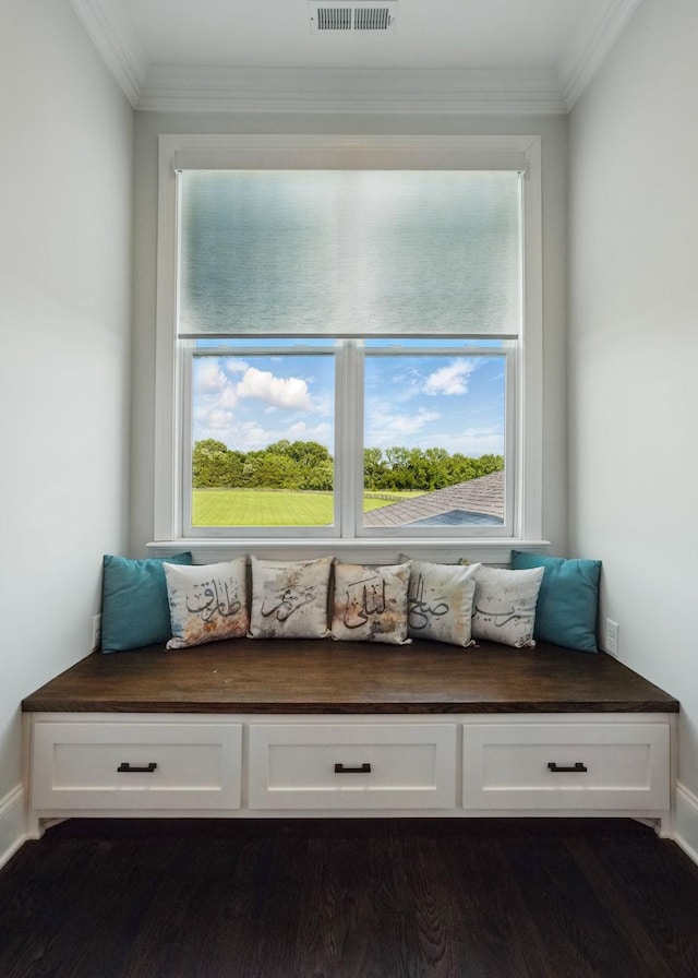 4740 Edwardian Trce, Franklin, TN 37067 - mudroom with plenty of natural light, ornamental molding, and baseboards