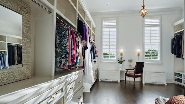 4740 Edwardian Trce, Franklin, TN 37067 - spacious closet with dark wood finished floors