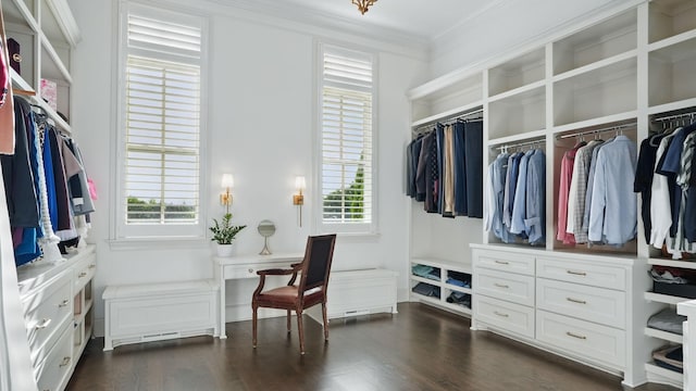 4740 Edwardian Trce, Franklin, TN 37067 - spacious closet with dark wood-style floors