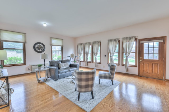 2519 Regency Park Dr, Murfreesboro, TN 37129 - living area with plenty of natural light, light wood-style flooring, and baseboards