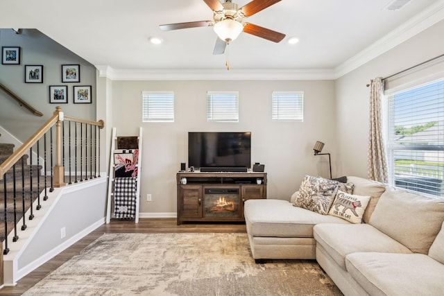 319 Petunia Dr, Smyrna, TN 37167 - living area featuring wood finished floors, stairs, ceiling fan, crown molding, and a glass covered fireplace