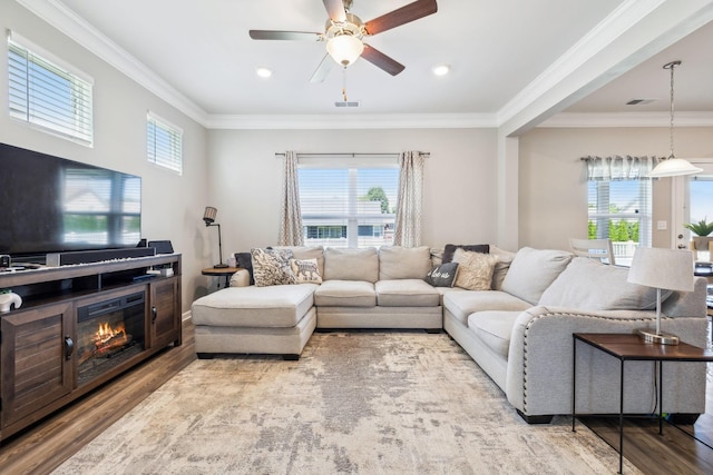 319 Petunia Dr, Smyrna, TN 37167 - living area with wood finished floors, crown molding, and a ceiling fan