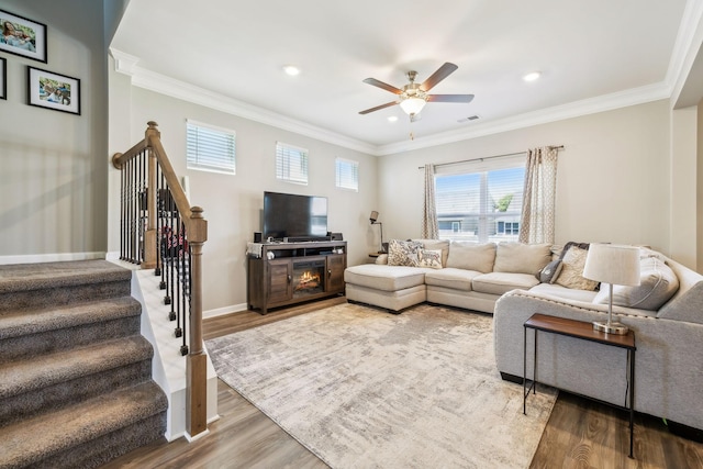 319 Petunia Dr, Smyrna, TN 37167 - living area with wood finished floors, a ceiling fan, ornamental molding, recessed lighting, and baseboards