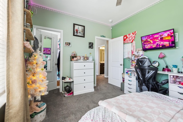 319 Petunia Dr, Smyrna, TN 37167 - bedroom with carpet floors