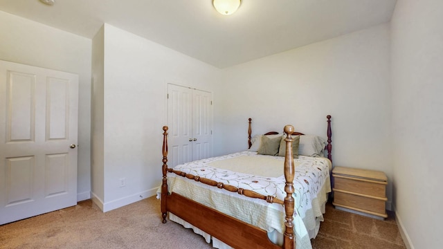 4421 Janefield Way, Nolensville, TN 37135 - bedroom with carpet, baseboards, and a closet