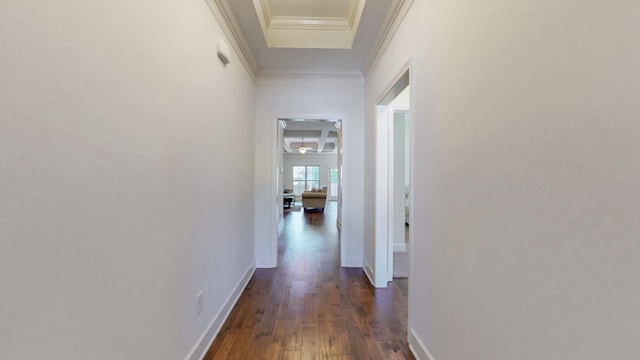 4421 Janefield Way, Nolensville, TN 37135 - corridor featuring dark wood-style floors, ornamental molding, and baseboards