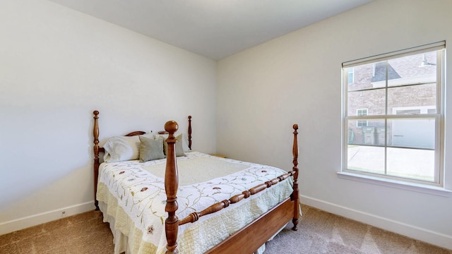 4421 Janefield Way, Nolensville, TN 37135 - bedroom with carpet flooring and baseboards