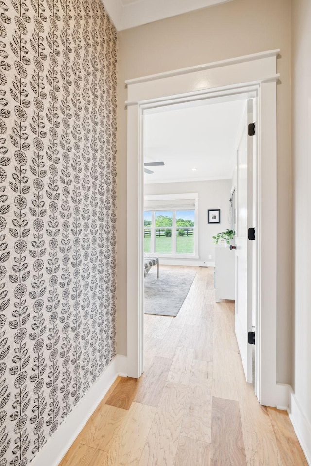 11769 Milton St, Milton, TN 37118 - corridor featuring light wood-type flooring, baseboards, and a water view