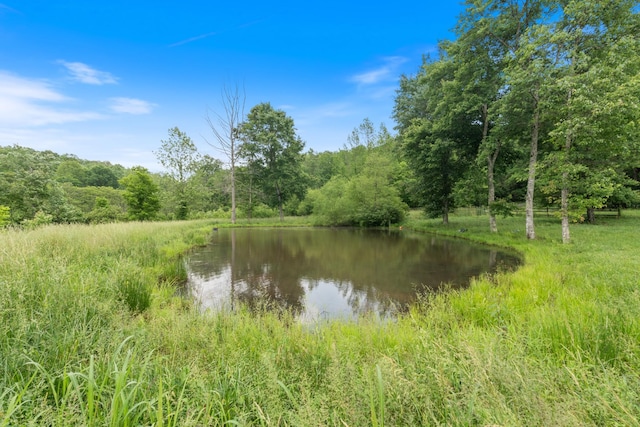 287 Rack Clayton Rd, Hohenwald, TN 38462 - water view with a forest