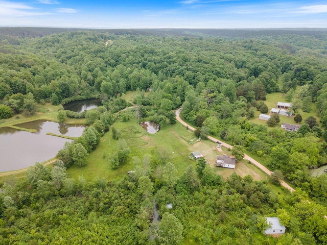 287 Rack Clayton Rd, Hohenwald, TN 38462 - aerial view of property's location featuring a forest and a nearby body of water