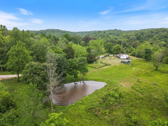 287 Rack Clayton Rd, Hohenwald, TN 38462 - bird's eye view of a nearby body of water and a heavily wooded area