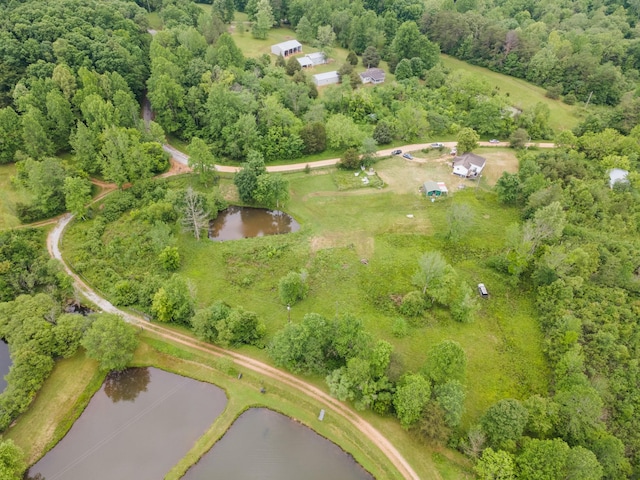 287 Rack Clayton Rd, Hohenwald, TN 38462 - aerial view of property's location featuring a large body of water