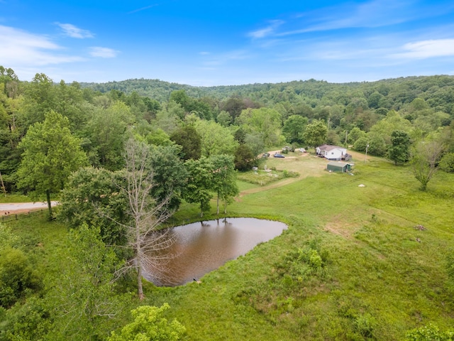 287 Rack Clayton Rd, Hohenwald, TN 38462 - bird's eye view of a large body of water and a forest