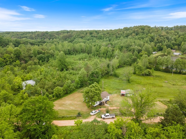 287 Rack Clayton Rd, Hohenwald, TN 38462 - bird's eye view of a forest