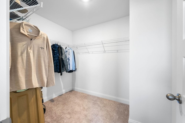 967 Nance Ln, Lebanon, TN 37087 - spacious closet featuring carpet flooring