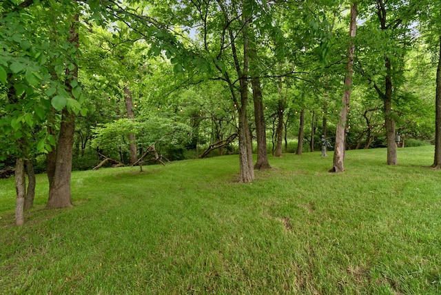410 Pastoral Way, Nolensville, TN 37135 - view of grassy yard