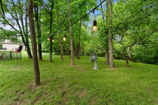 410 Pastoral Way, Nolensville, TN 37135 - view of yard