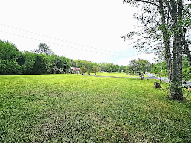 6100 Bell Branch Trl, Nunnelly, TN 37137 - photo 9