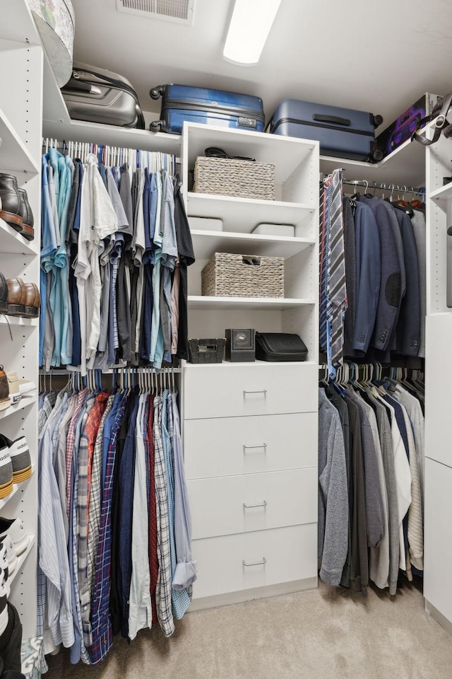1018 Buddleia Ln, Franklin, TN 37067 - spacious closet featuring carpet